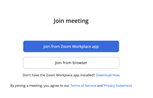 Zoom workspace or browser