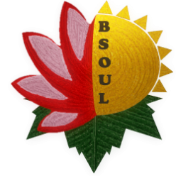 BSOUL