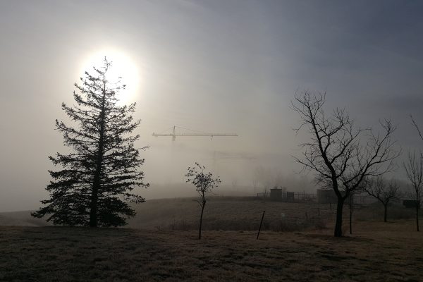 Jeff Vucurevich (Facilities) snapped this shot recently when the campus was blanketed in a thick morning fog!
