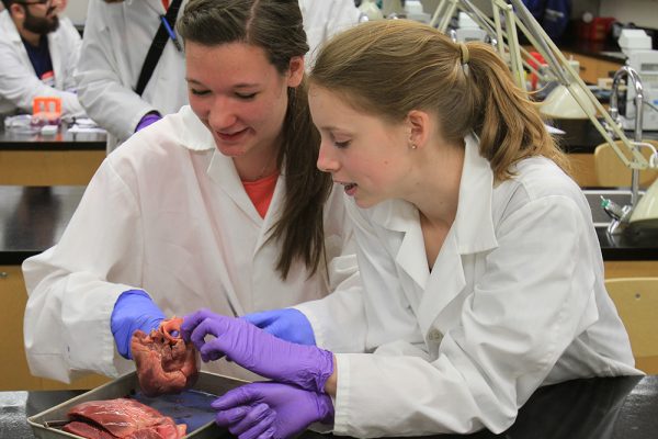 Grade 10 students from Noble Central School, Danae Goudzwaard (L) and Belinda Anker (R), examine a pig heart as part of Let's Do Science!