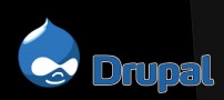Drupal at Work